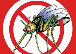 谁是蚊子的“菜” 夏季防蚊全攻略
