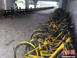 尴尬！北京护城河放水 捞出百辆共享单车
