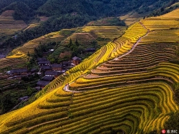 中国南方稻作梯田 将成全球农业文化遗产