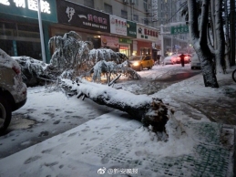 安徽首场大雪来袭 合肥多个公交站被压垮