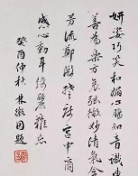 林徽因与陆小曼：被误解半世纪的民国才女