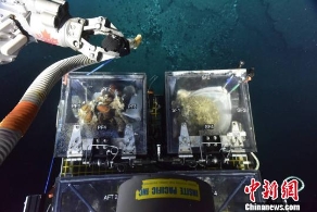 南海遥控深潜科学考察航次完成了科考任务