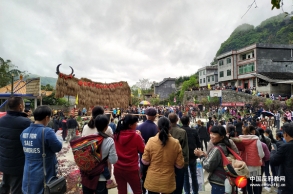 广西南丹县借助壮族敬牛节开展反邪教宣传