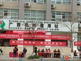 广西省兴业县在国家安全日开展反邪教宣传