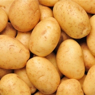 发芽的土豆还能吃吗 食用土豆的功效和禁忌