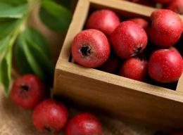 这些水果现在“趁热吃”！中医推荐6种吃法