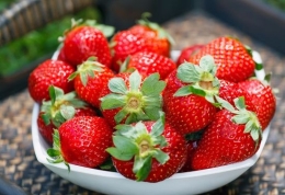 打激素转基因 问题草莓多是瞎传