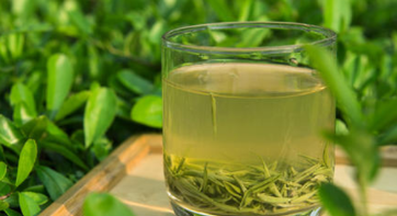 喝绿茶能够预防胃癌是真的？专家称不靠谱