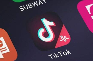 TikTok已向美国政府提交解决方案 细节尚未披露