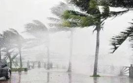 多部门部署防汛防台风工作 6亿农业生产和救灾资金已下达