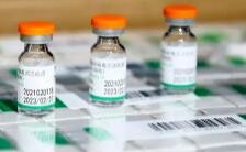 世卫组织:中国疫苗在全球范围内发挥重要作用