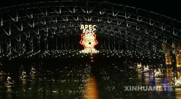 海湾大桥亮起2007APEC会议会徽彩灯