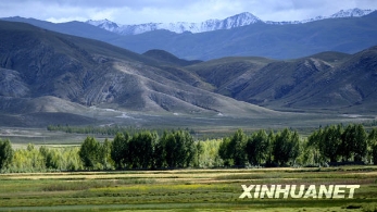 西藏获准设立尼木国家级森林公园 [组图]