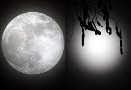 “半影月食”天象现苍穹