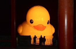 大黄鸭“移居”颐和园 26日正式与游客见面