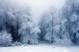 全球冬季绝色美景 冰天雪地宛如仙境