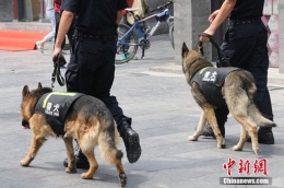 北京650只警犬上街巡逻 “指哪咬哪儿”