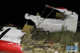 直击马航MH17客机坠毁现场