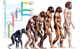 人类进化史上的十大突破
