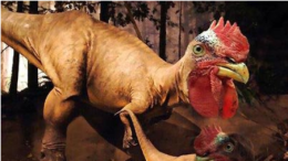 改变鸡的基因可制造恐龙 怪诞科学大盘点