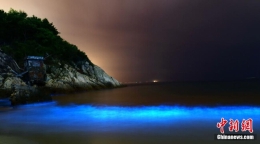 深圳海域现“荧光海” 专家称系夜光藻赤潮