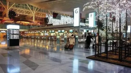 中国大妈被封日本“国宝级匠人”扫出全球最干净机场