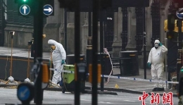 伦敦恐袭致多国游客受伤 警方检查事故现场