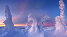 摄影师拍摄北极圈罕见“雪树”奇观