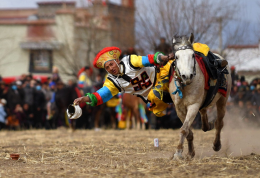 乡村马术表演 把欢乐带到西藏田间地头