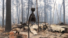 美国山火遇难人数至48人