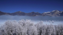 西藏：雅江现雾凇奇观