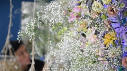 香港花卉展览将揭幕