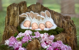 四胞胎宝宝排排睡萌照
