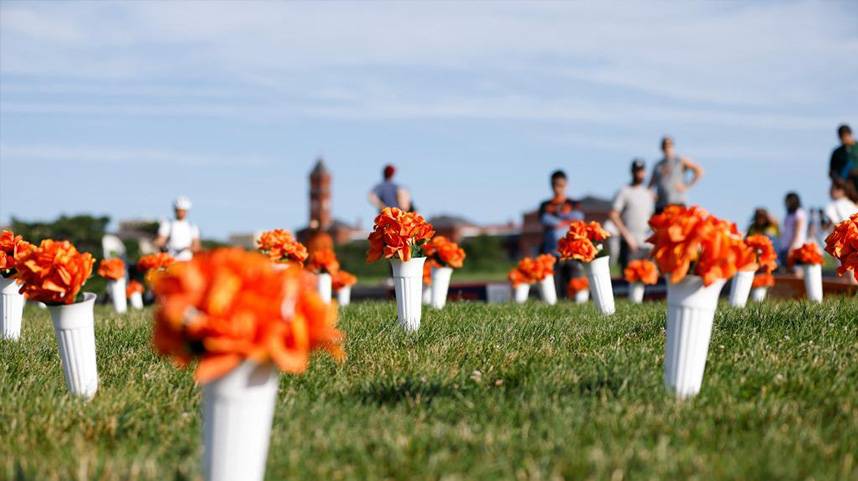 美国华盛顿：绢花悼念全美枪支暴力受害者