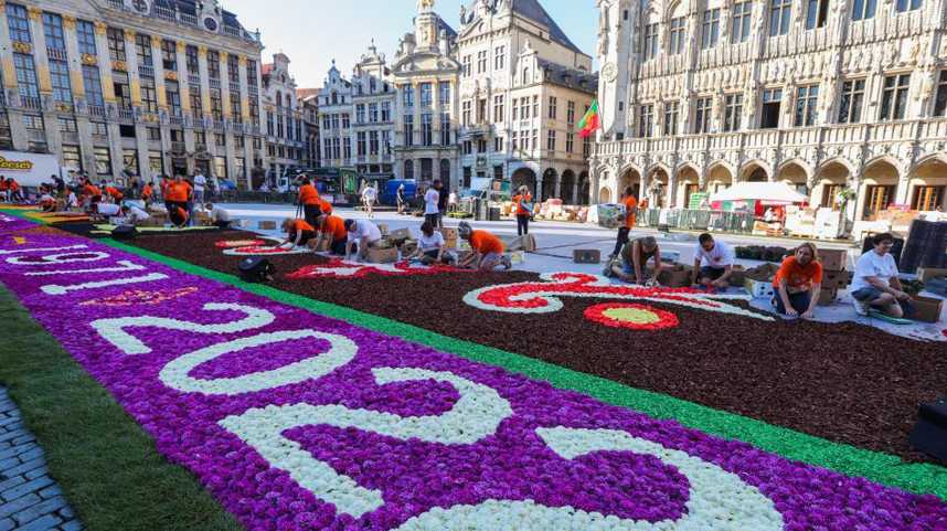 比利时布鲁塞尔：铺装“鲜花地毯” 