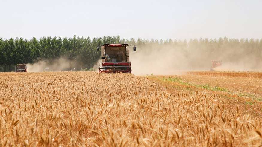 全国麦收进度过八成