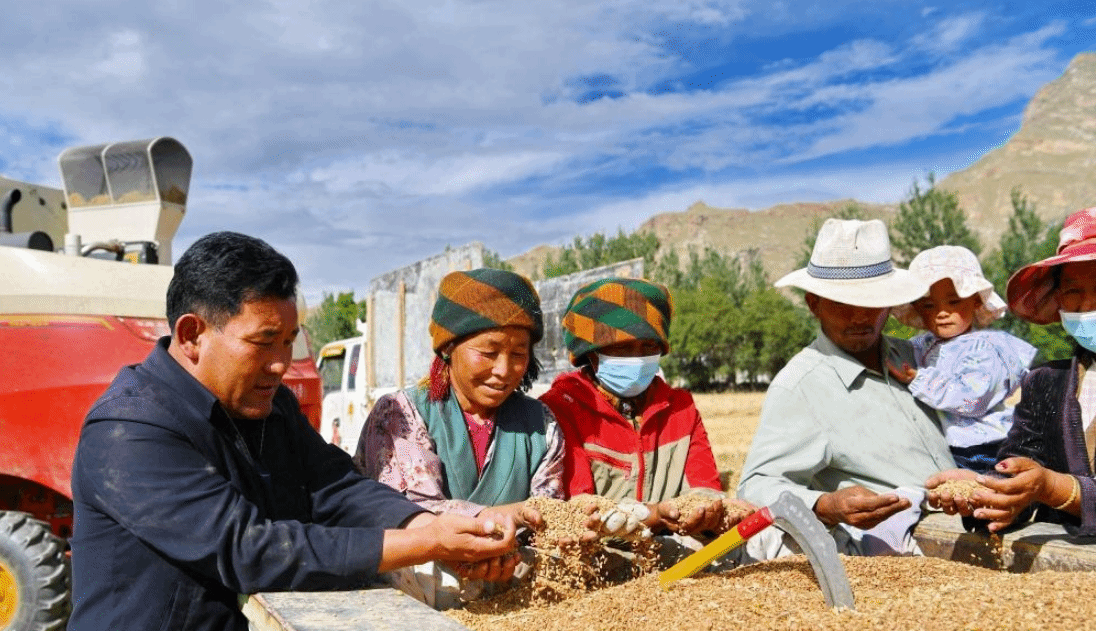 西藏建成高标准农田422万亩