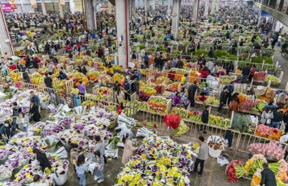中国6大花市 全国最大的花卉批发市场介绍