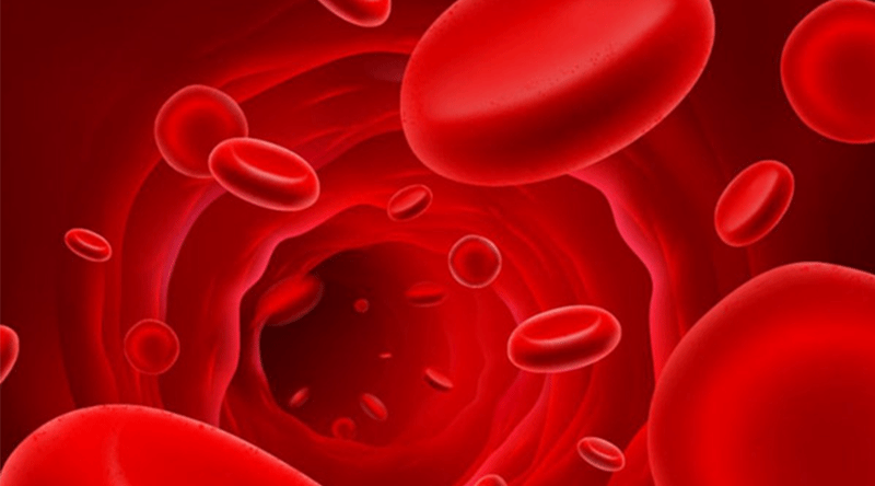 为什么A型血不能输给B型血患者？能人造血吗