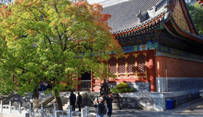 北京的秋有多美？香山红叶五条“赏秋专线”带您解锁