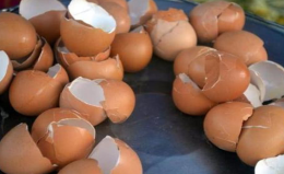 鸡蛋壳放在水里煮一煮可以解决很多麻烦事