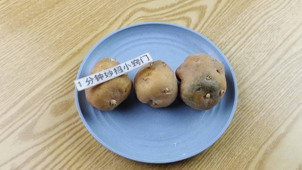 才知道 发芽的土豆是个宝 能解决很多人的大烦恼