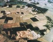 湖北石家河古城被确认为长江中游同时期最大古城