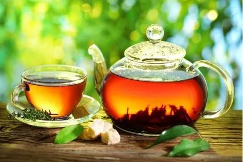 泡茶有讲究 冷泡茶和热茶放凉 好喝级别能一样吗