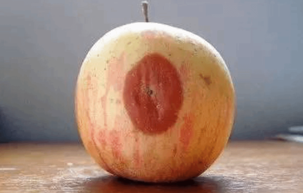 局部腐烂的苹果还能吃吗？不建议再食用