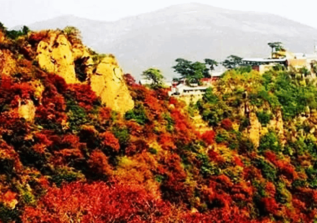 盘点北京秋天最美的19个景点！
