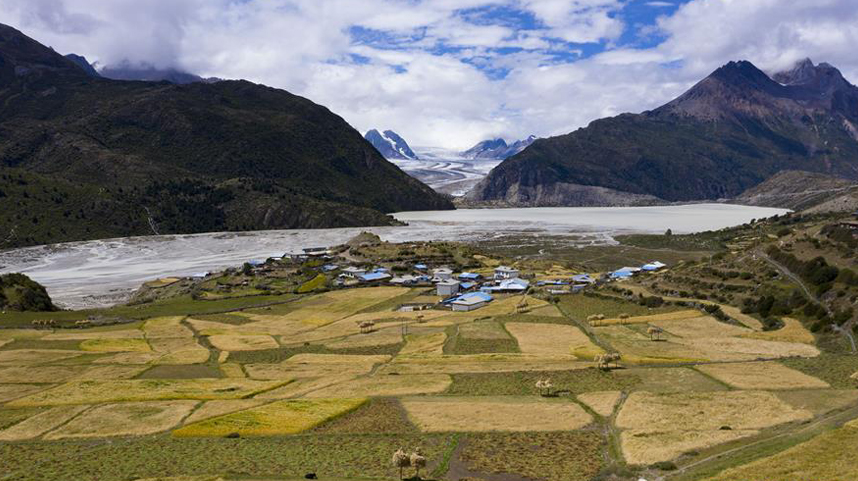 西藏：冰川脚下的秋收
