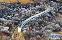 北京居庸关长城附近那趟开往春天的列车来了！