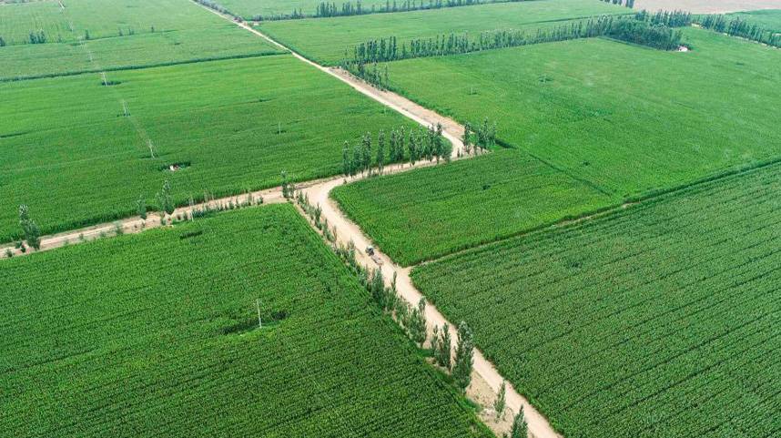 鄂尔多斯：打造高标准农田 促进种植业快速发展