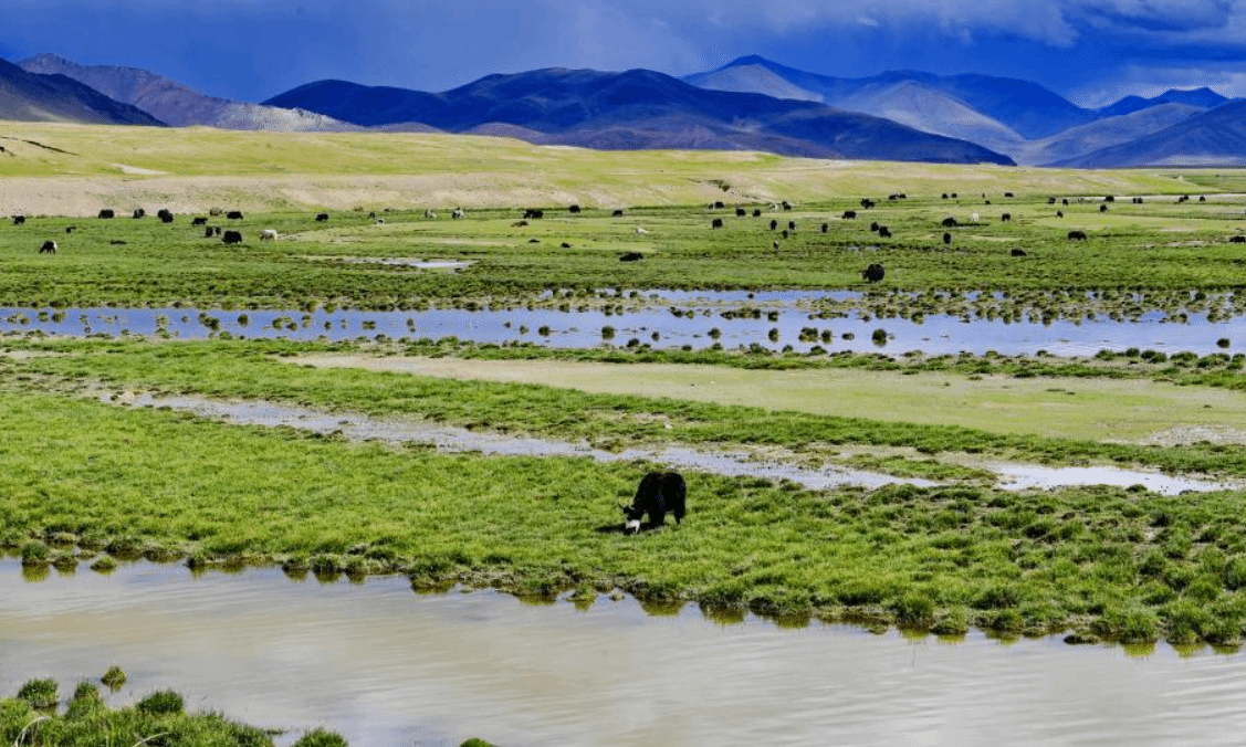 西藏措勤生态美